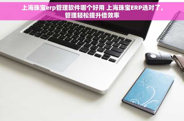 上海珠宝erp管理软件哪个好用 上海珠宝ERP选对了，管理轻松提升倍效率