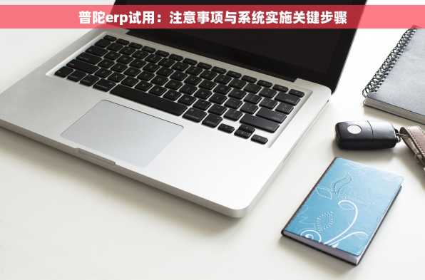 普陀erp试用：注意事项与系统实施关键步骤