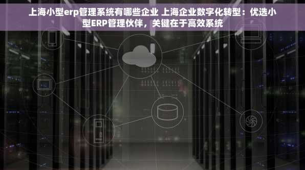 上海小型erp管理系统有哪些企业 上海企业数字化转型：优选小型ERP管理伙伴，关键在于高效系统