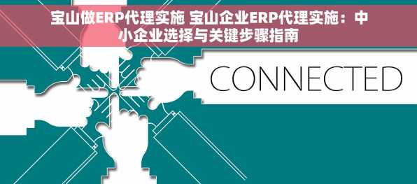 宝山做ERP代理实施 宝山企业ERP代理实施：中小企业选择与关键步骤指南