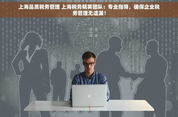 上海品质税务管理 上海税务精英团队：专业指导，确保企业税务管理无遗漏！