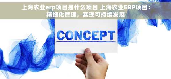 上海农业erp项目是什么项目 上海农业ERP项目：精细化管理，实现可持续发展
