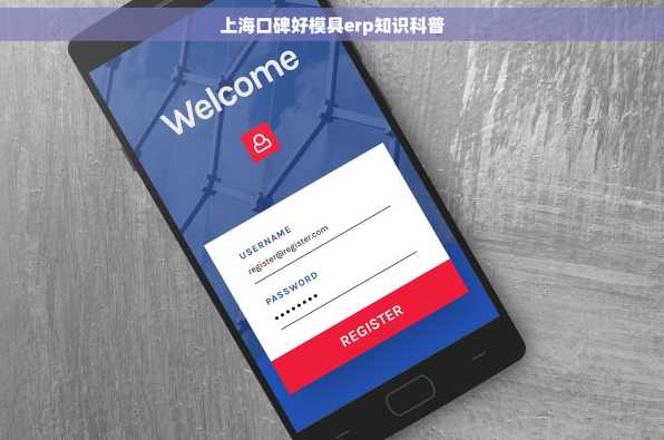 上海口碑好模具erp知识科普