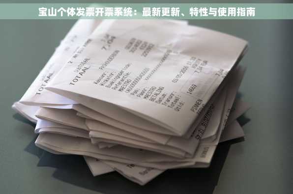 宝山个体发票开票系统：最新更新、特性与使用指南