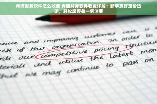 青浦财务软件怎么收费 青浦财务软件收费详解：新手友好定价透明，轻松掌握每一笔消费