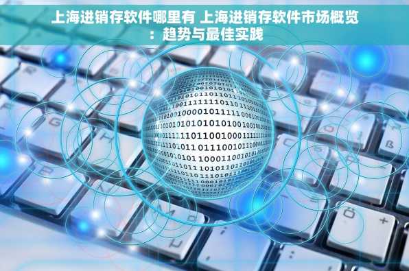 上海进销存软件哪里有 上海进销存软件市场概览：趋势与最佳实践