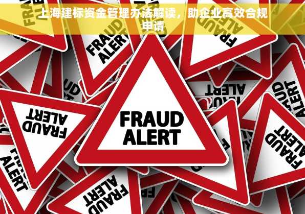上海建标资金管理办法解读，助企业高效合规申请