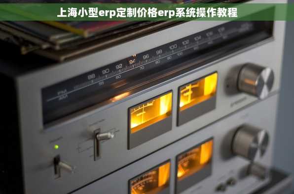 上海小型erp定制价格erp系统操作教程