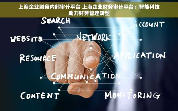 上海企业财务内部审计平台 上海企业财务审计平台：智能科技助力财务管理转型
