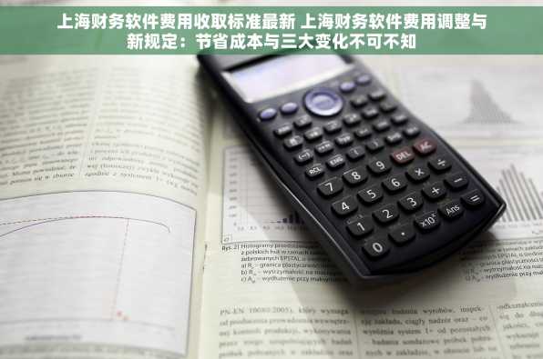 上海财务软件费用收取标准最新 上海财务软件费用调整与新规定：节省成本与三大变化不可不知