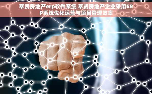 奉贤房地产erp软件系统 奉贤房地产企业采用ERP系统优化运营与项目管理效率