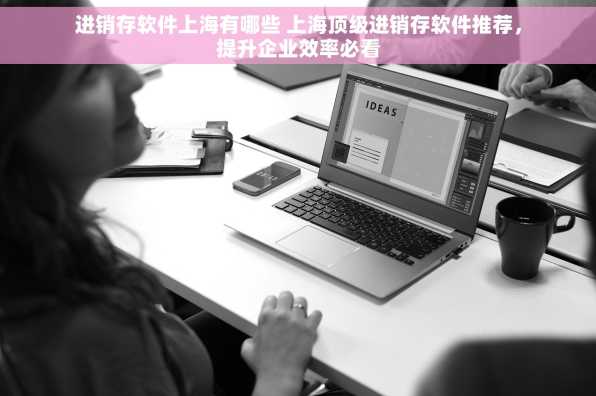 进销存软件上海有哪些 上海顶级进销存软件推荐，提升企业效率必看