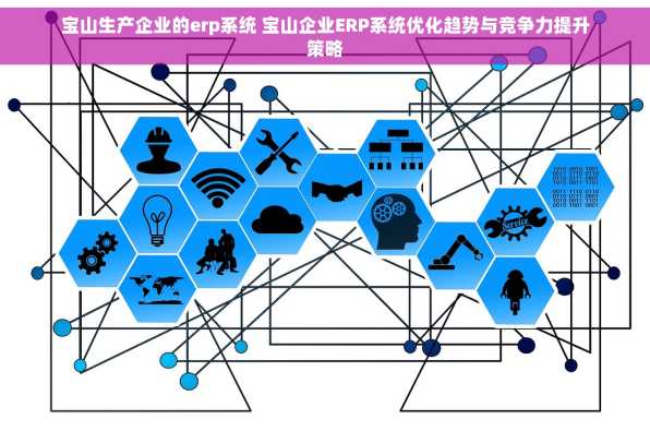 宝山生产企业的erp系统 宝山企业ERP系统优化趋势与竞争力提升策略