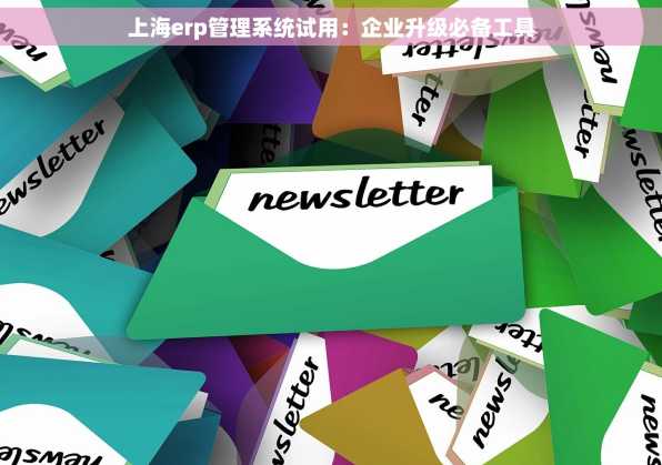 上海erp管理系统试用：企业升级必备工具