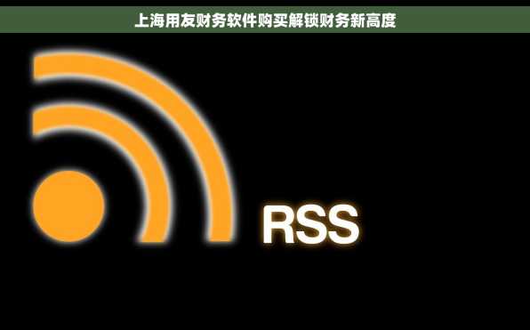 上海用友财务软件购买解锁财务新高度