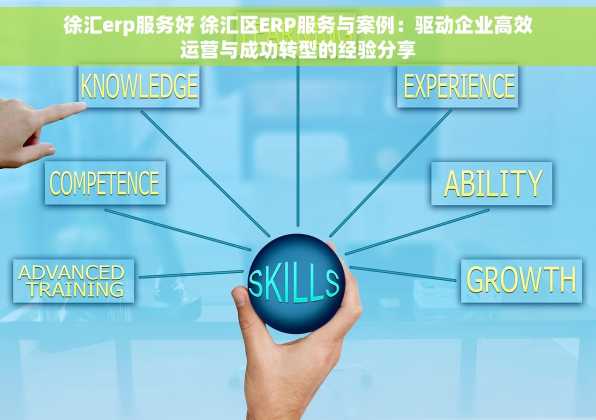 徐汇erp服务好 徐汇区ERP服务与案例：驱动企业高效运营与成功转型的经验分享