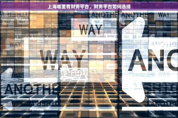 上海哪里有财务平台，财务平台如何选择