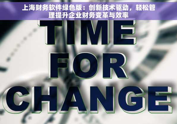 上海财务软件绿色版：创新技术驱动，轻松管理提升企业财务变革与效率