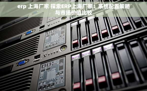 erp 上海厂家 探索ERP上海厂家：系统配置策略与市场价值比较