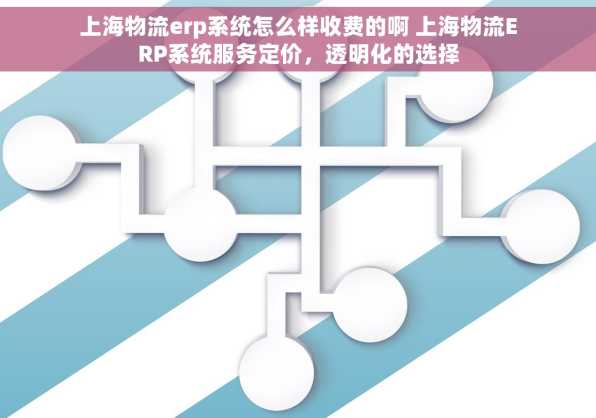 上海物流erp系统怎么样收费的啊 上海物流ERP系统服务定价，透明化的选择