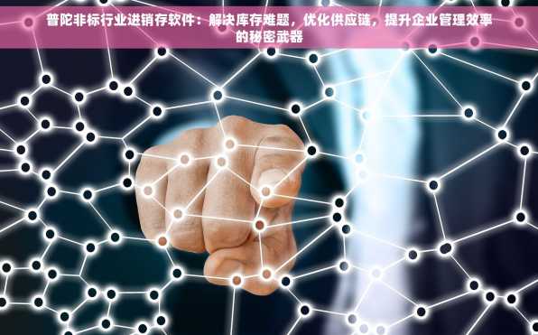普陀非标行业进销存软件：解决库存难题，优化供应链，提升企业管理效率的秘密武器