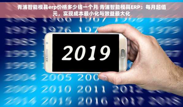 青浦智能模具erp价格多少钱一个月 青浦智能模具ERP：每月超值元，实现成本最小化与效益最大化