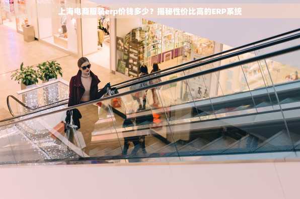 上海电商服装erp价钱多少？揭秘性价比高的ERP系统