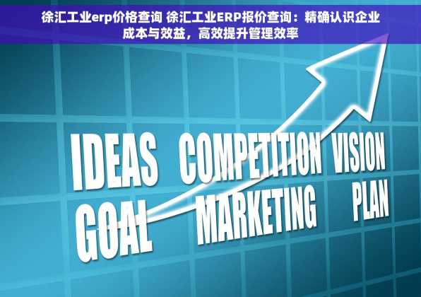 徐汇工业erp价格查询 徐汇工业ERP报价查询：精确认识企业成本与效益，高效提升管理效率