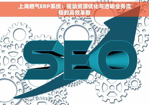上海燃气ERP系统：驱动资源优化与透明业务流程的高效革新