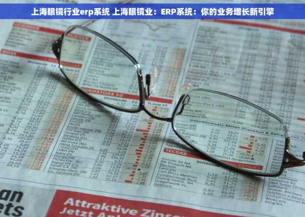 上海眼镜行业erp系统 上海眼镜业：ERP系统：你的业务增长新引擎