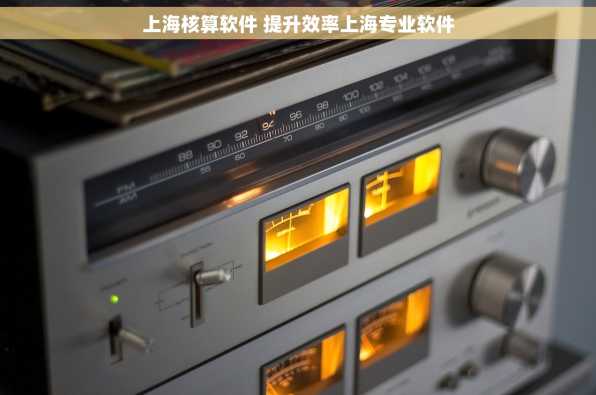 上海核算软件 提升效率上海专业软件