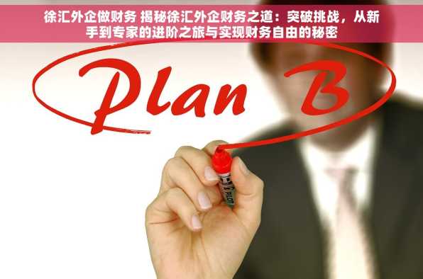 徐汇外企做财务 揭秘徐汇外企财务之道：突破挑战，从新手到专家的进阶之旅与实现财务自由的秘密