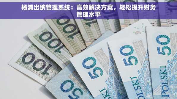 杨浦出纳管理系统：高效解决方案，轻松提升财务管理水平