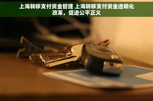 上海转移支付资金管理 上海转移支付资金透明化改革，促进公平正义