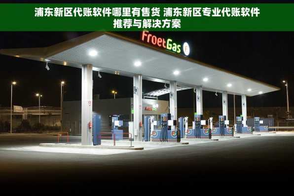 浦东新区代账软件哪里有售货 浦东新区专业代账软件推荐与解决方案