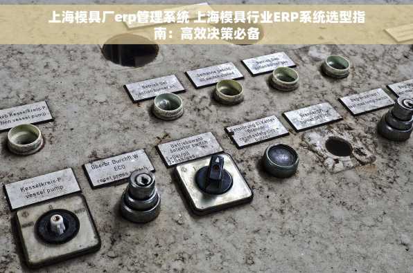 上海模具厂erp管理系统 上海模具行业ERP系统选型指南：高效决策必备