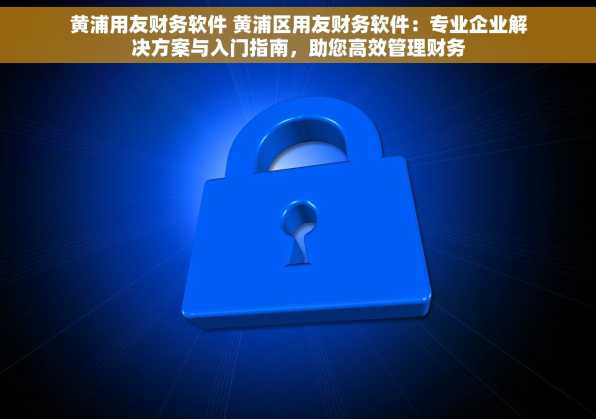 黄浦用友财务软件 黄浦区用友财务软件：专业企业解决方案与入门指南，助您高效管理财务