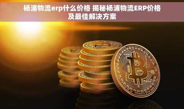 杨浦物流erp什么价格 揭秘杨浦物流ERP价格及最佳解决方案