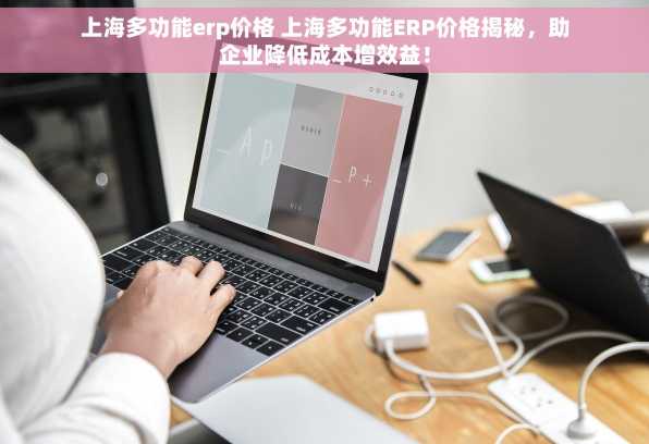 上海多功能erp价格 上海多功能ERP价格揭秘，助企业降低成本增效益！