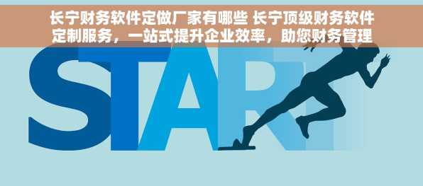 长宁财务软件定做厂家有哪些 长宁顶级财务软件定制服务，一站式提升企业效率，助您财务管理无忧