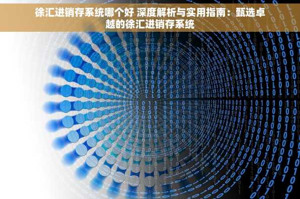 徐汇进销存系统哪个好 深度解析与实用指南：甄选卓越的徐汇进销存系统