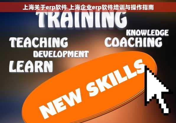 上海关于erp软件 上海企业erp软件培训与操作指南
