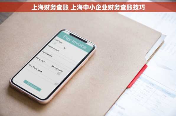 上海财务查账 上海中小企业财务查账技巧
