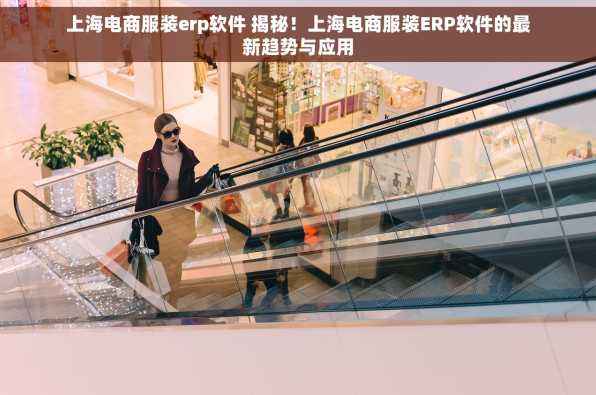 上海电商服装erp软件 揭秘！上海电商服装ERP软件的最新趋势与应用