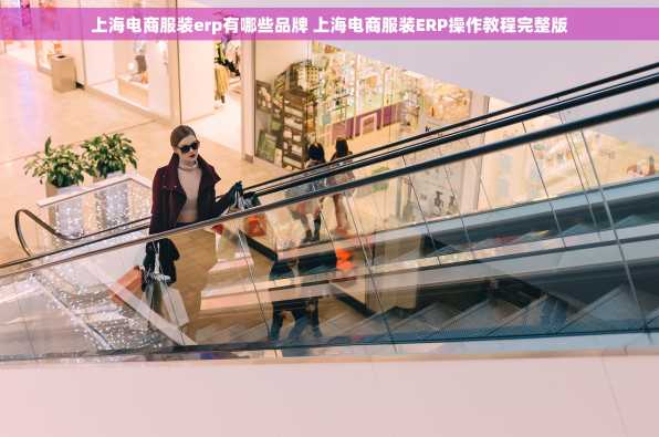 上海电商服装erp有哪些品牌 上海电商服装ERP操作教程完整版