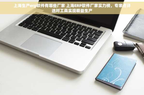 上海生产erp软件有哪些厂家 上海ERP软件厂家实力榜，专家点评选对工具实现精益生产