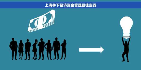 上海林下经济资金管理最佳实践