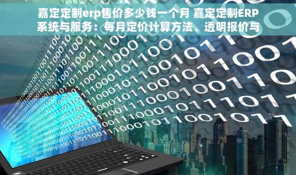 嘉定定制erp售价多少钱一个月 嘉定定制ERP系统与服务：每月定价计算方法、透明报价与超值优惠