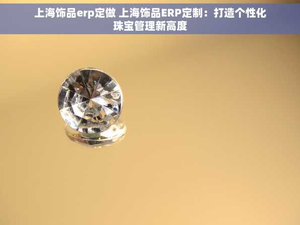上海饰品erp定做 上海饰品ERP定制：打造个性化珠宝管理新高度