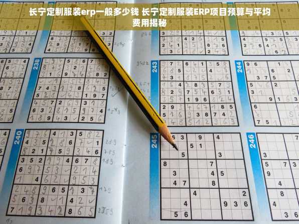 长宁定制服装erp一般多少钱 长宁定制服装ERP项目预算与平均费用揭秘